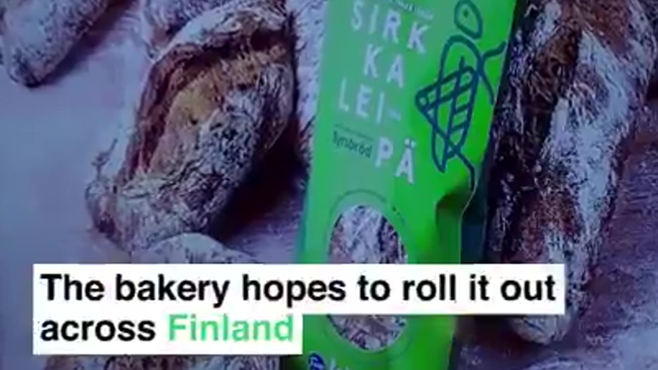 WEF: Finland has made bread with crushed insects