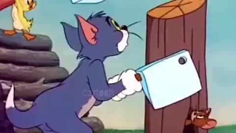 So funny 😂🤣