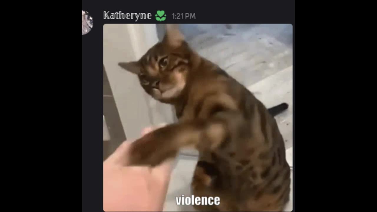 Pinging Everyone In Discord