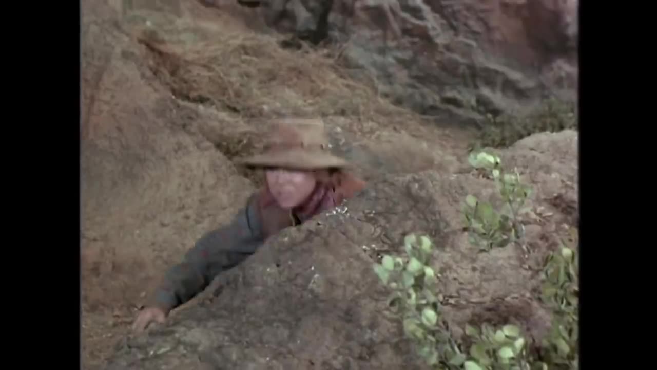 Bonanza - The Pure Truth