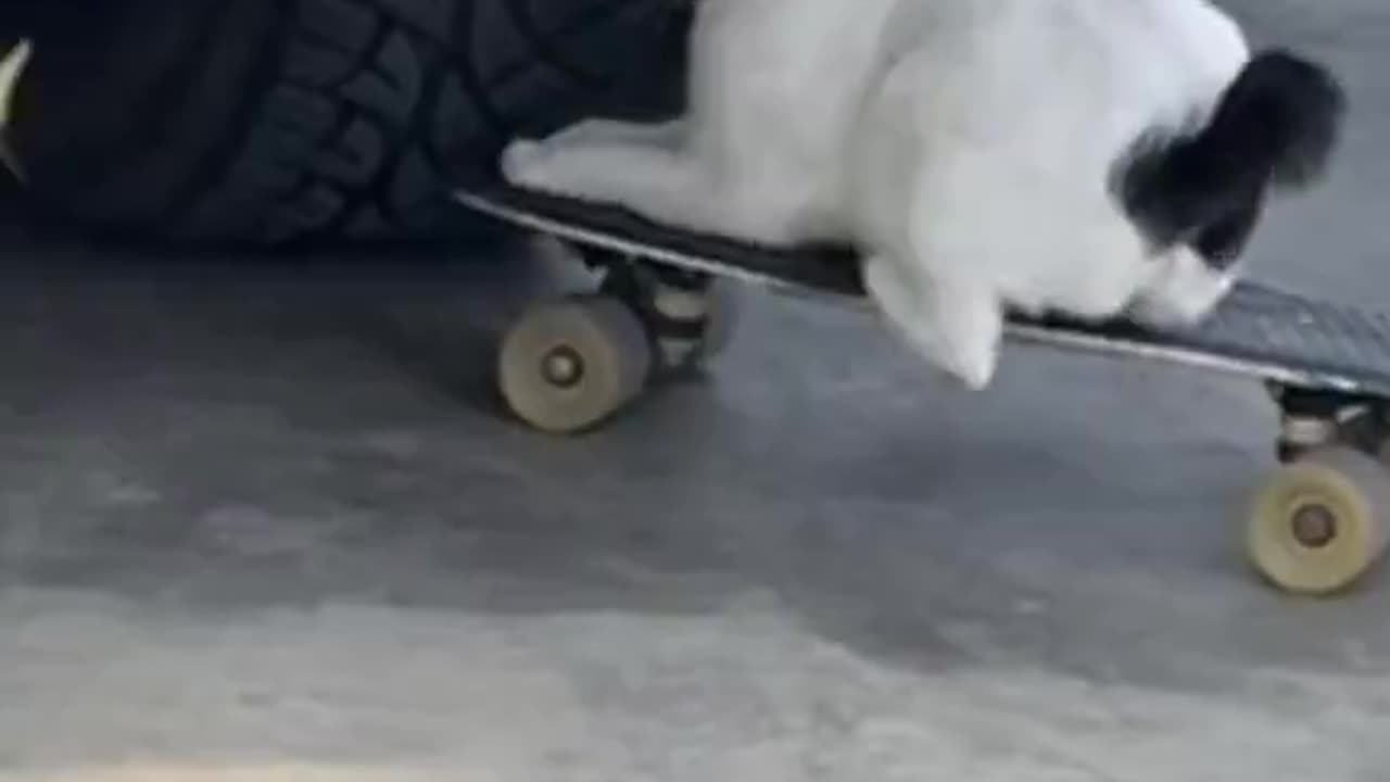 no survival skill😩