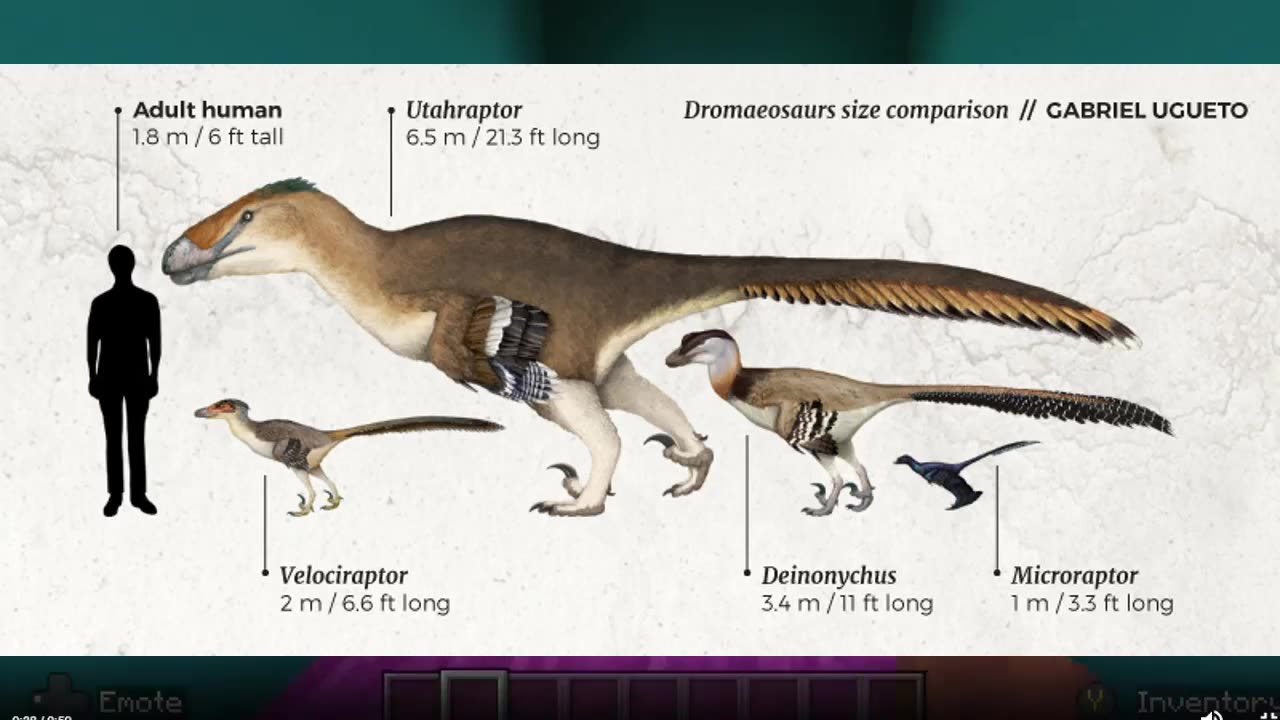 Utahraptor Dinosaur Video