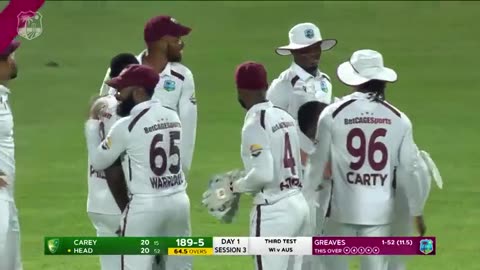Great Cricket Catching