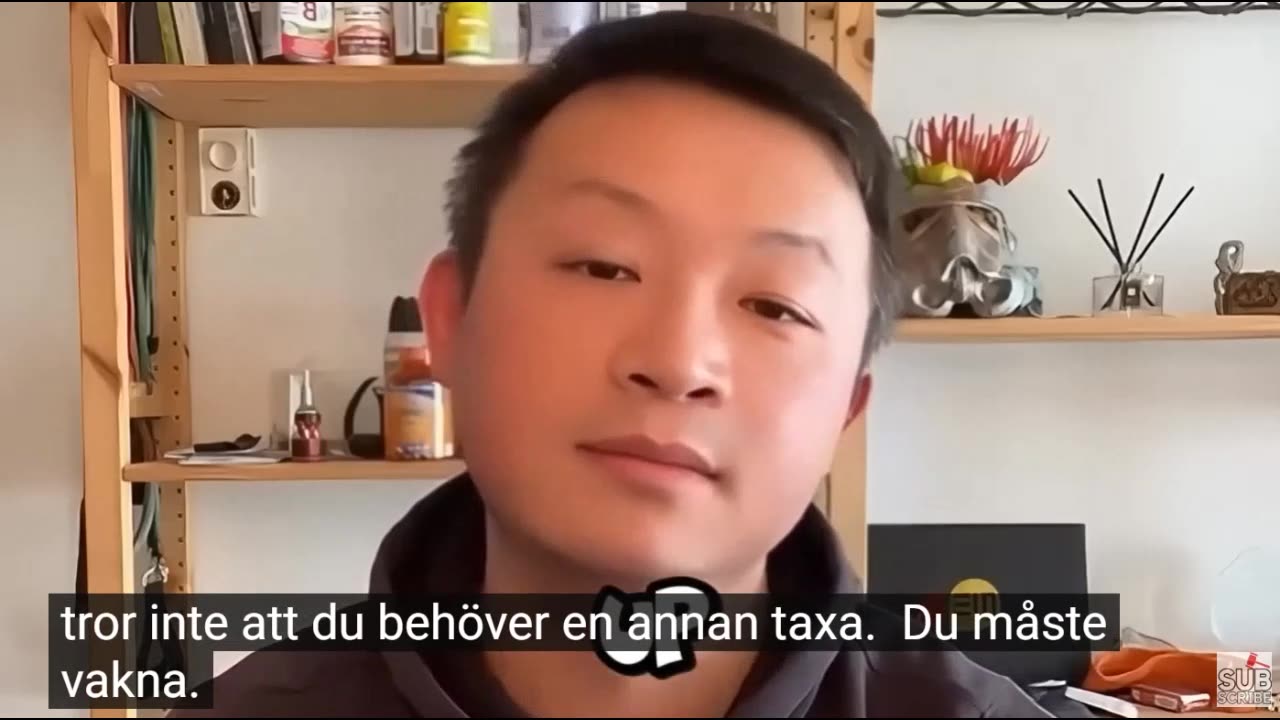 Har kineserna gjort rätt?