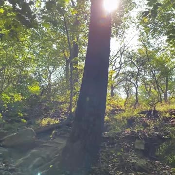 HAVE FUN WITH THIS ONE!