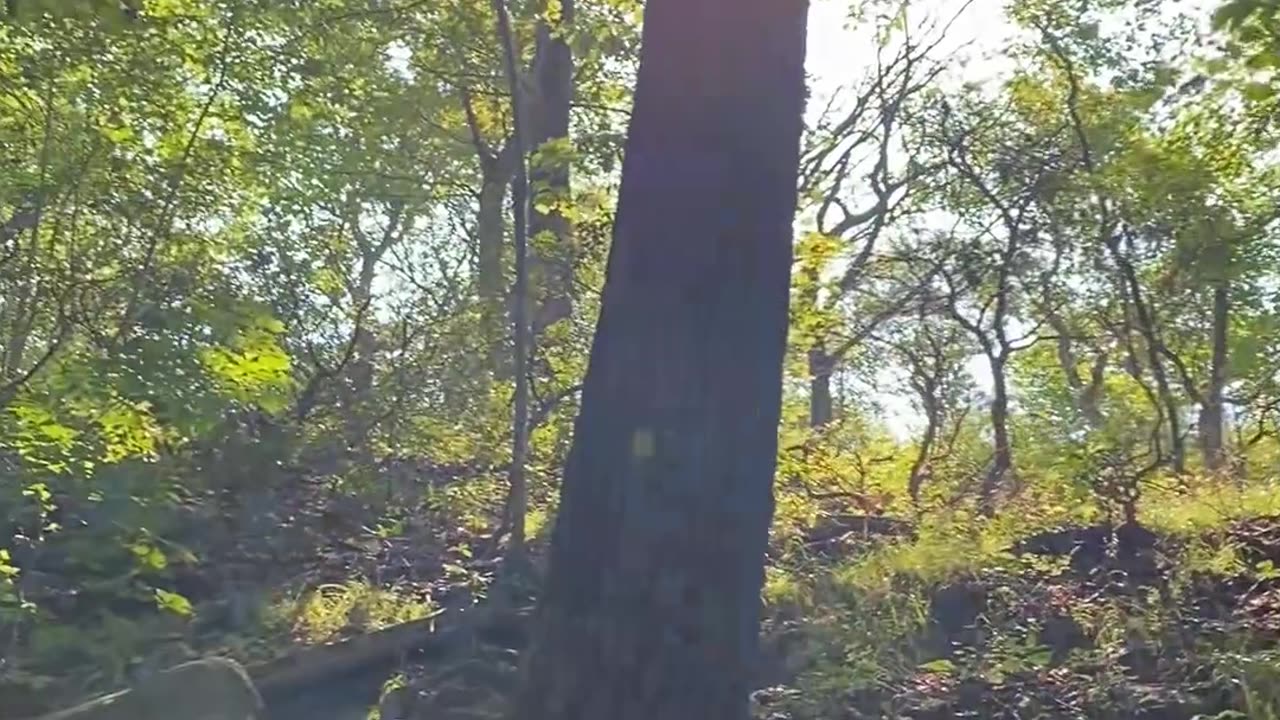 HAVE FUN WITH THIS ONE!