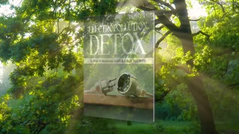 Electropollution Detox 10 Steps to Reclaiming Health in a High-Tech World