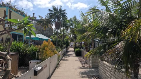 From BAY to BEACH Balboa Ct, San Diego July 2025 #sunny #ride #view