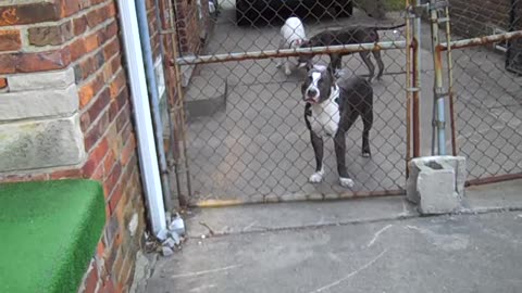 CLIENT MEETING HIS TENANT VIA THE SHEA SHOW