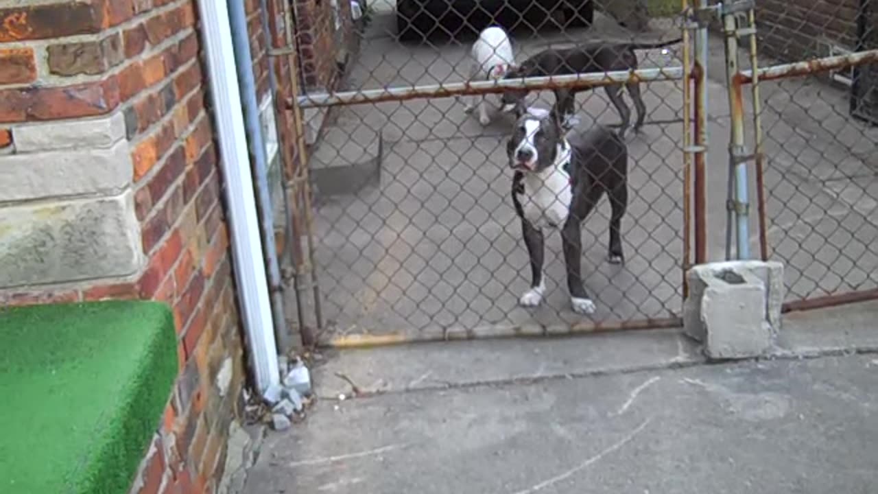 CLIENT MEETING HIS TENANT VIA THE SHEA SHOW