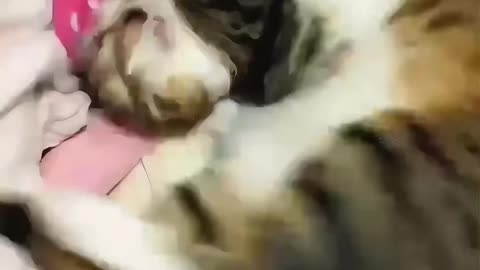 Knock twice so excited 😂 Follow for more interesting videos