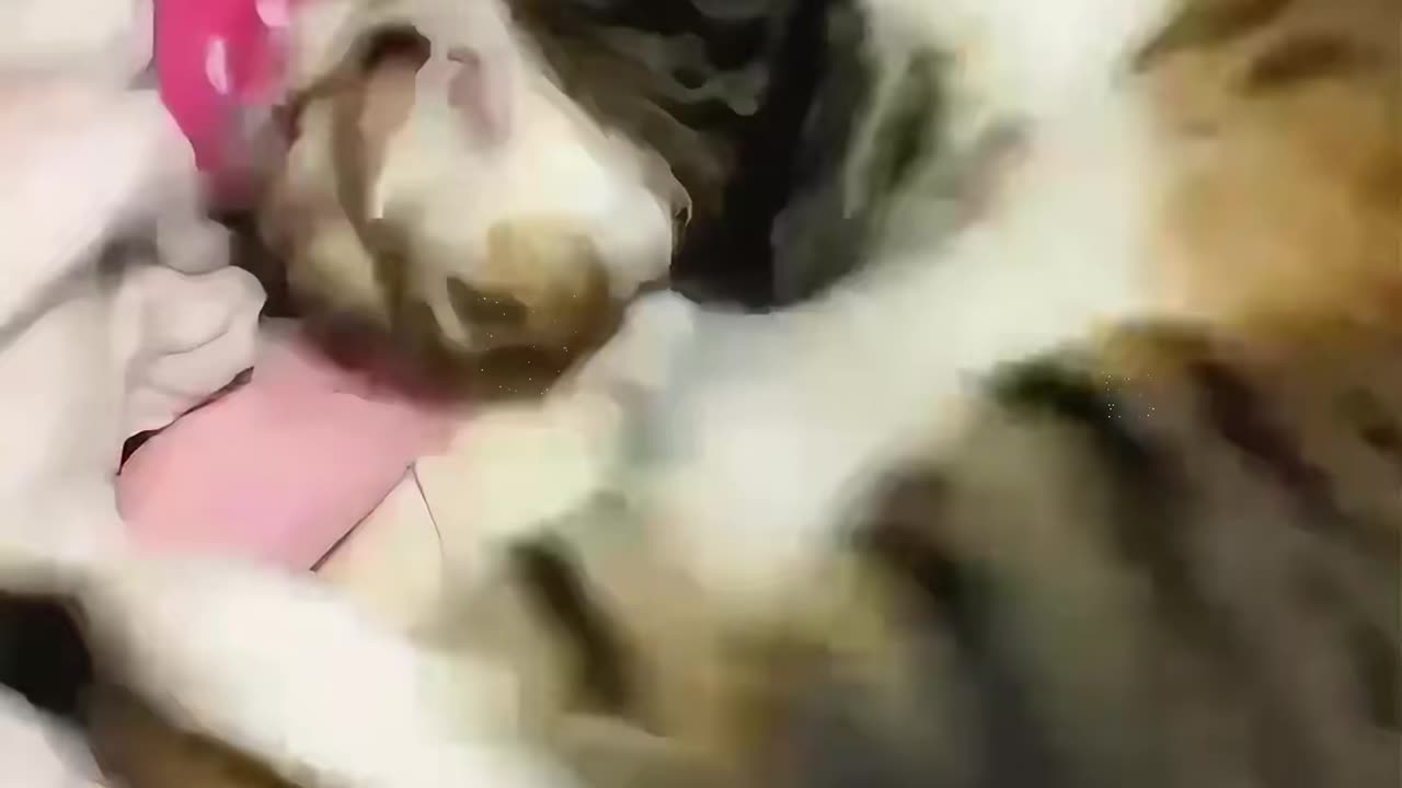 Knock twice so excited 😂 Follow for more interesting videos