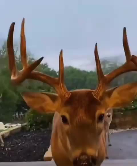 Part II ... W O R D Got OUT, The SECRET SHARED !