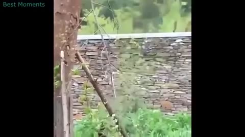 Funny videos OMG ! Try not to laugh Challenge Impossible Duration: 00:02:52