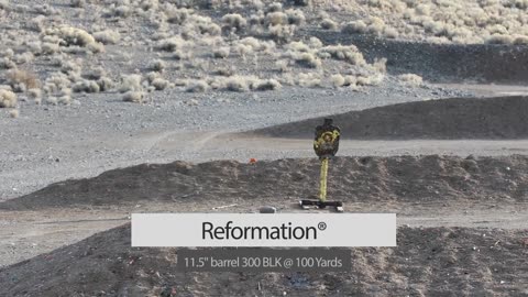 Franklin Armory® Reformation®