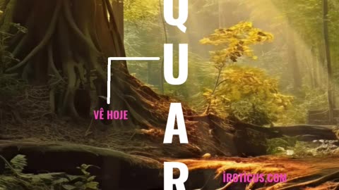 Bom dia gente