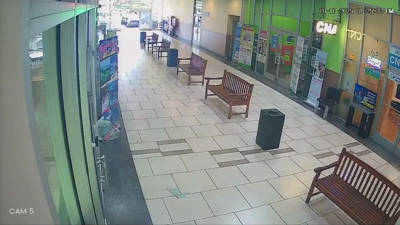 💥 Smash-and-Grab Foiled: Milpitas Jewelry Store Owner Fires Back!