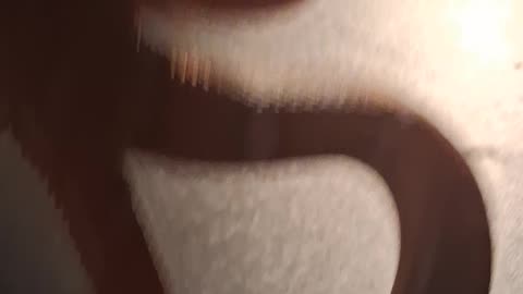 PLAY WITH PET SNAKE