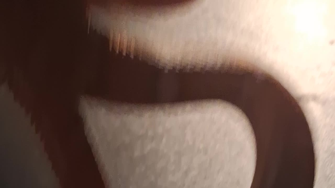 PLAY WITH PET SNAKE