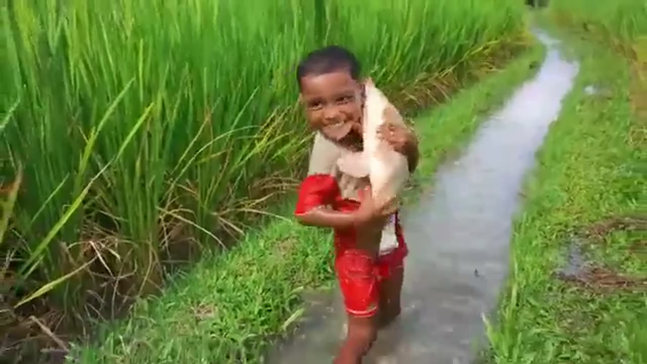 Big Fish & Boy