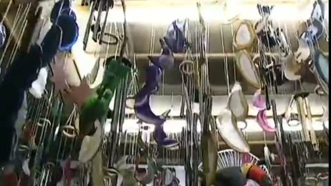 BRAZYLIA W RYTMIE SAMBY dokument pl