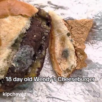 276 day McDonald's burger??