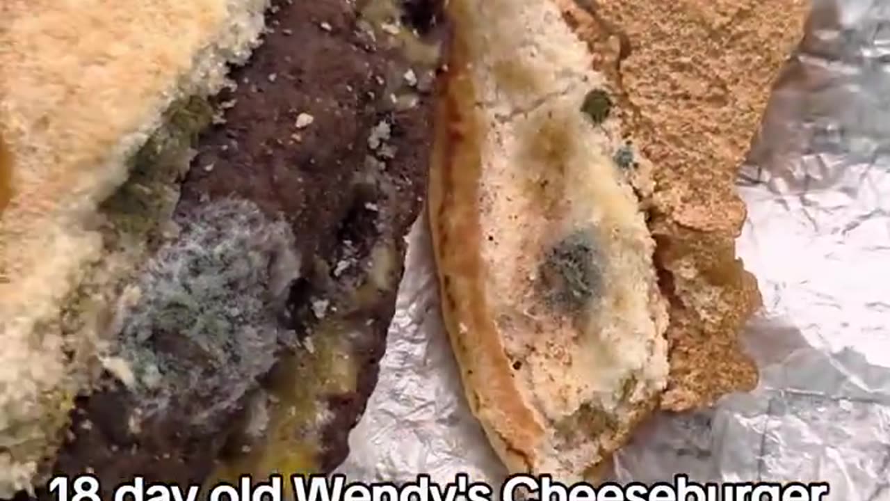 276 day McDonald's burger??