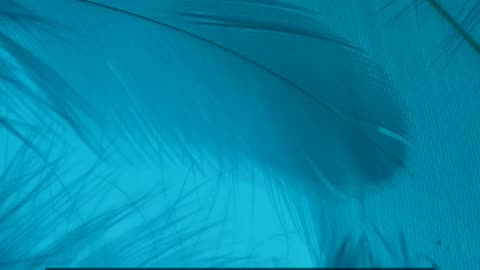 Daily Horoscope | Taurus 🌟