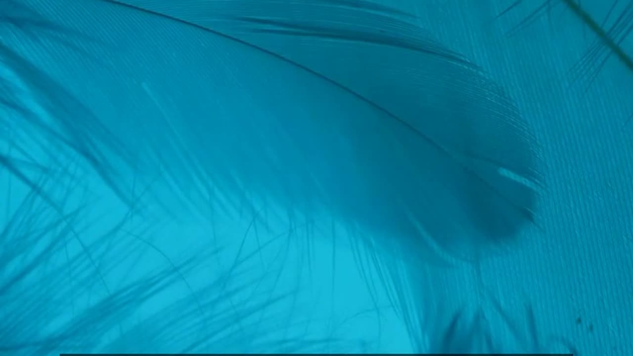 Daily Horoscope | Taurus 🌟