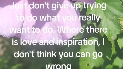 Where there is love and inspiration, I don't think you can go wrong