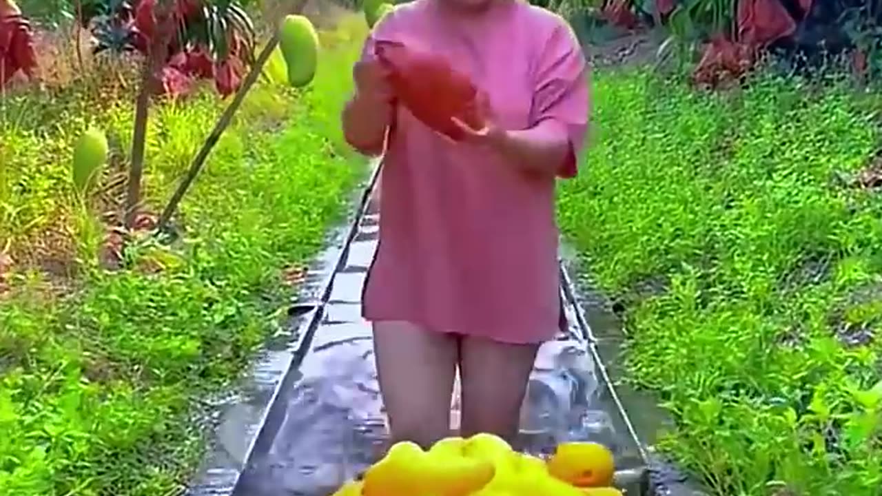 Funny comedy 🤣😂