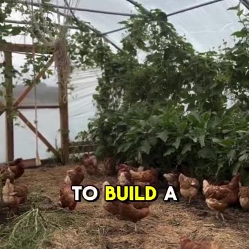 There is a reason...