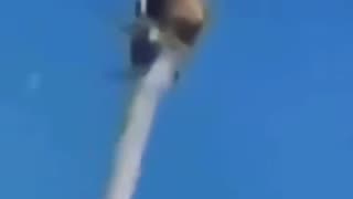 Spiders On Drugs