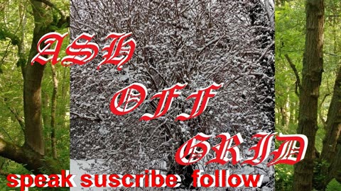 #tv , #satire , #bake , #professionals , #murder ,#pies ,