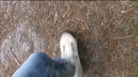 New Hiking Shoes