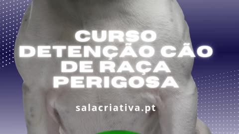 Curso para a detenção de cães de raça perigosa ou potencialmente perigosa