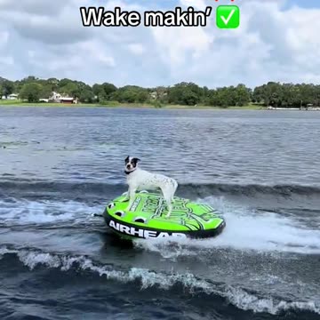 None of his friends will believe him (via:@__squid_knee)