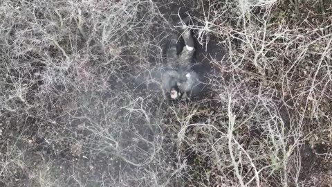 Ukrainian drone hitting a Russian soldier with a drone drop munition.