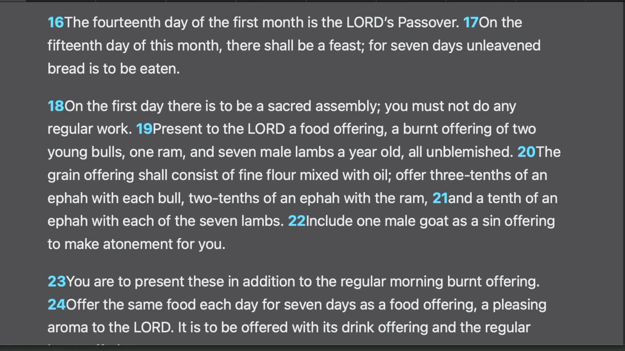 Numbers 28