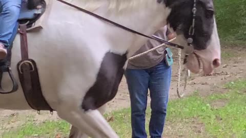 Throwback Kyla Riding My Draft Cross Vada