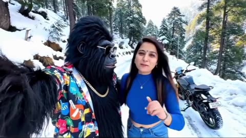 "Tinku Aur Uski GF Gaye Shimla Ghoomne ❤️❄️ | Monkey Couple Hill Station Vlog | 2025 Romantic Trip"