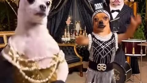 🍾✨ Happy New Year Everyone! 🥂🫧 ✧˖° 2026✧° ༘ ⋆