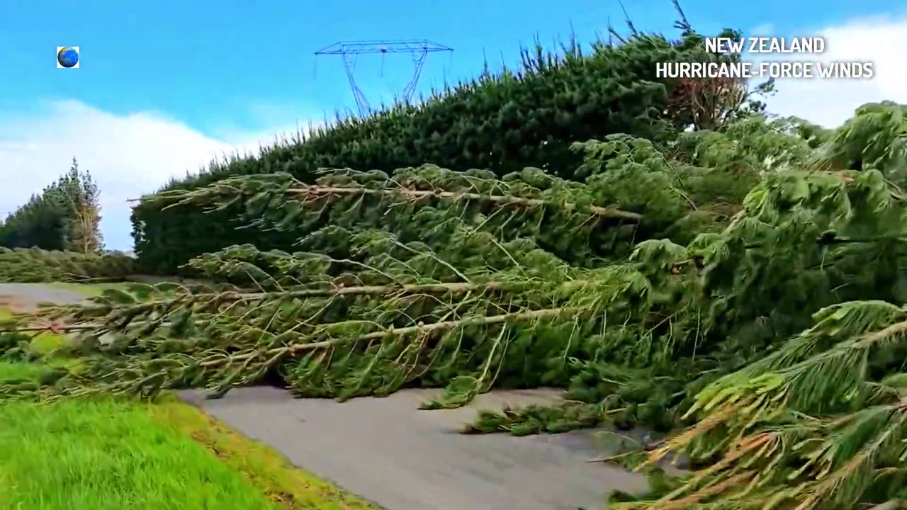 Un ouragan-tempête cloue la Nouvelle-Zélande au sol.