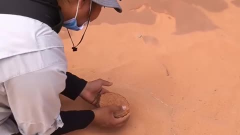 🤯✨ The Amazing Science Behind How the Grand Canyon Was Formed! | FeedMyCuriosity