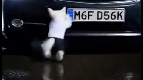 Phone killen this kitte