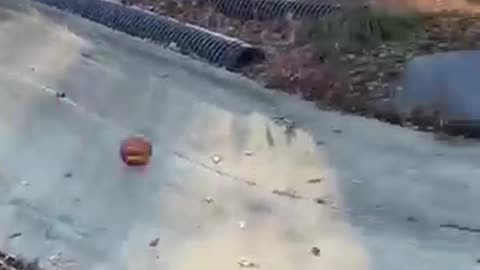 Breaking: The Top 15 Painfully Funny Trickshots of 2024