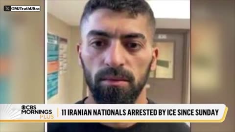 ICE arrested 11 Iranian nationals in the U.S. illegally across eight states
