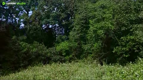 Outdoor audio visual test
