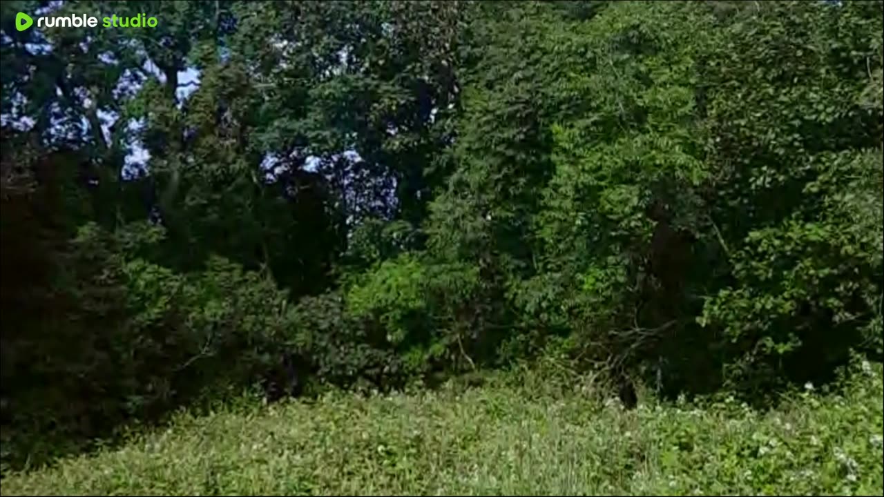 Outdoor audio visual test