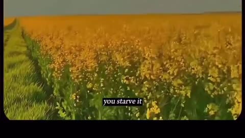 Men, lust is your biggest enemy. Listen to this very carefully..